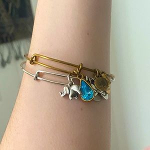 Alex & Ani Charm Bracelets